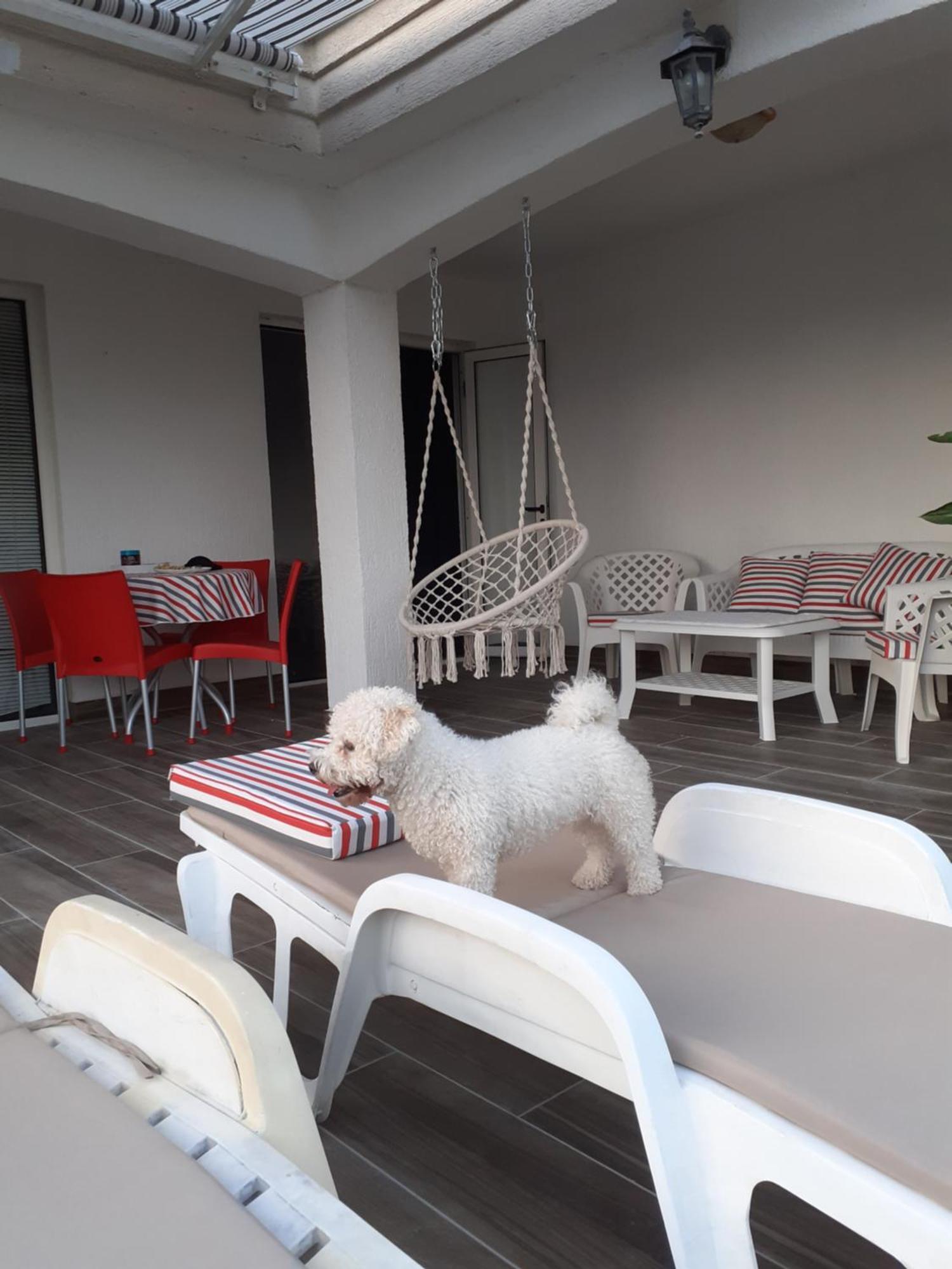 Guest House Cvoro Herceg Novi Værelse billede