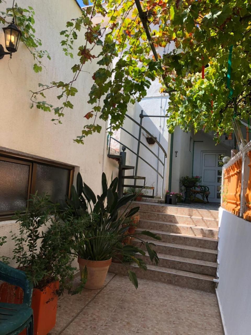 Guest House Cvoro Herceg Novi Eksteriør billede